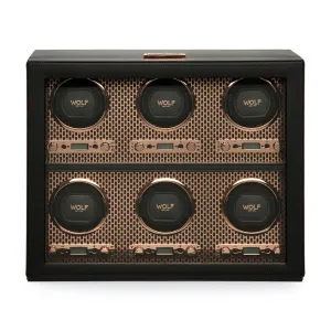 Axis 6 Piece Watch Winder